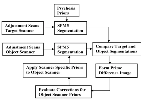 Figure 1Process Flow diagramProcess Flow diagram. Process Flow for procedure that develops scanner specific priors to correct for segmentation differ-ences between the object and target scanners