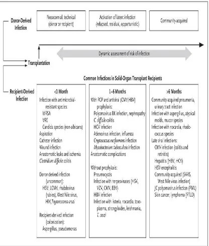 FIGURE 2: TIMETABLE OF INFECTIONS IN RENAL