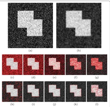 Figure 1 The level lines at different gray levels. (a) The noise image with Gaussian white noise of mean 0and variance 0.2