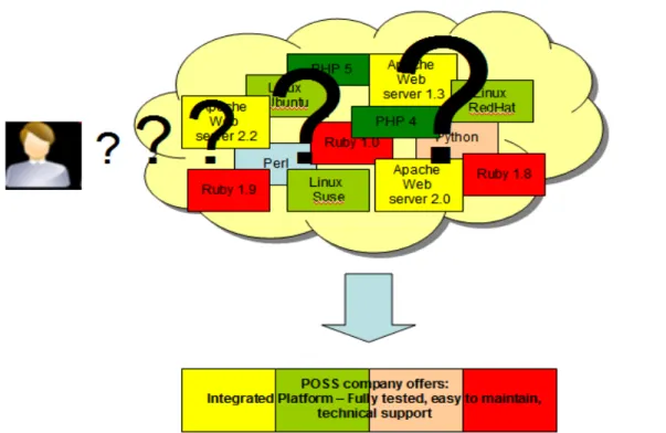 Figure 2.6 - The platform providers' business model 