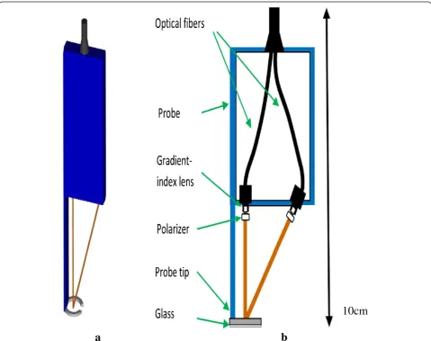 Figure 2 A schema of the probe. A three-dimensional view (a) and a two-dimensional schema (b) of the optical probe.