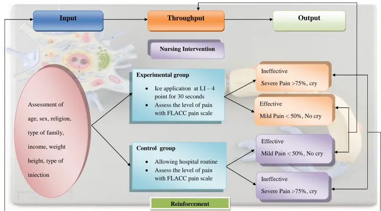 Fig:1 Conceptual Frame Work Based On Modified Roy’s Adaption Model (1970)  