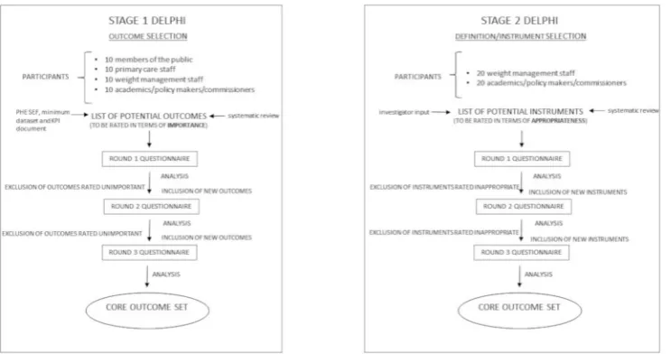 Figure 1 Schematic outlining the two stage Delphi study. In order to develop a core outcome set and definition/instrument set, Delphi methodology will be used to gain consensus from expert groups