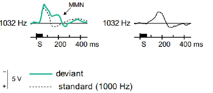 Figure 1.1. The left side of the Figure shows an example of long-latency component of the ERPs elicited by standard (dotted line) and deviant (green line) stimuli