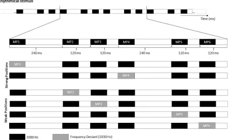 Figure 3.1. Stimulus Material. Example of the rhythmic module. The top row illustrates an extract of the standard rhythmical module