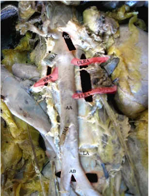 Figure: 2 