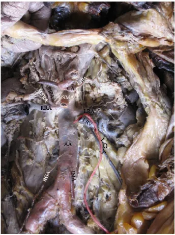 Figure: 6 