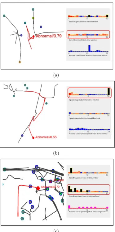 Figure 5.4: Representative abnormal cases and histograms. (a) An abnormal case with an irregular pattern of driving directions