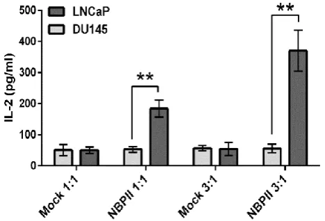 Figure 1B shows, the minimum geneticin concentration, which killed all Jurkat cells, was 1000 µg/ml