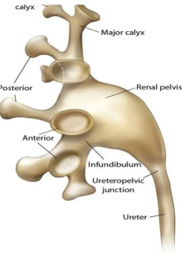 Figure : 4 