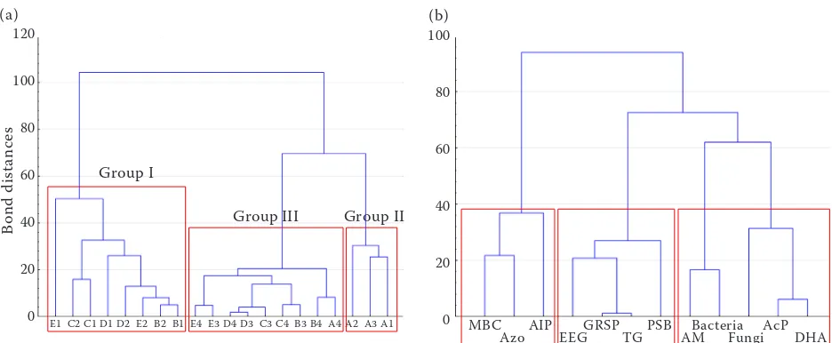 Figure 4. Dendrogram of the bond distances from the hierarchical cluster analysis of soil properties, different cultivation techniques, seasons and microbial activities (a)