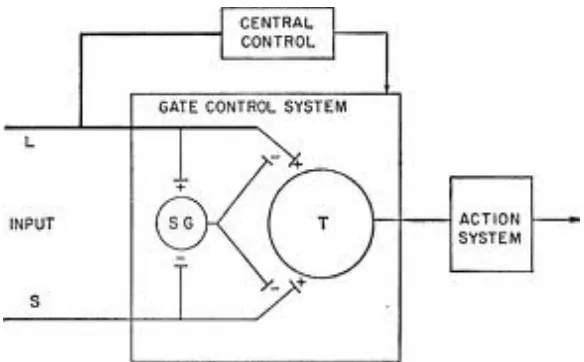 Figure 5: Gate control theory. 