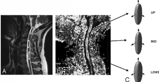 Fig 1. Images showing the placement of regions of interest