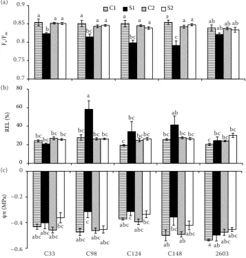 Figure 1. Maximum quantum efficiency of PSII (Fv/Fm), relative electrolyte leakage (REL) and osmotic potential (ψπ) of the monitored genotypes of sunflower