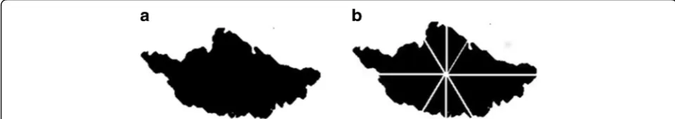 Fig. 1 Three types of connectivity in digital space. a Eight connectivity and its triangular grill