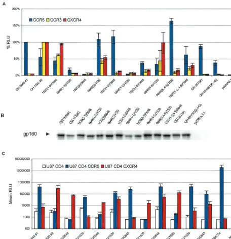 FIG. 5. V3 and V4–V5 regions of multitropic Env contribute to coreceptor utilization. (A) The fusogenic activity of the panel of hybrid Env composed ofcomplementary segments of the R5 Env QH0648#1 and the multitropic Env QH1520#2 was determined in the cell-cell fusion assay, as described in Materials and