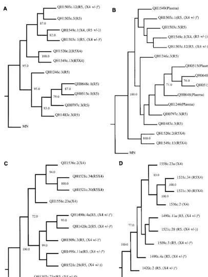 FIG. 1. Phylogenetic analyses of envregion. The complete nucleotide sequence of molecularautomated sequencer