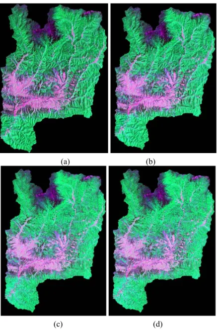 Figure 3. Comparison of color composite of RGB-543 Landsat-7 ETM+ image derived  from two topographic correction methods being applied: (a) and (b) shows the image after  SCS correction based on SRTM DEM and the DEM constructed from 1:50,000 scale  topogra