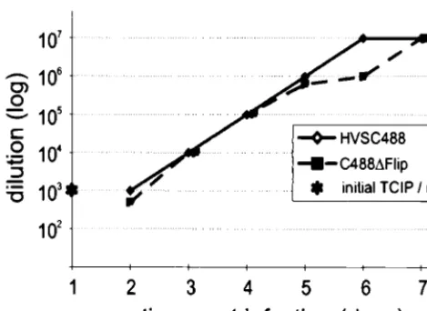 TABLE 1. Transformation by recombinant viruses in vitro andpathogenesis in infected cottontop tamarins