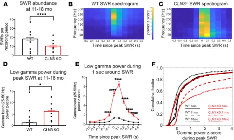 Figure 7. Like AD mouse models, late-stage CLN3Nwas completed 2 ways: Mann-Whitney triggering a high-power gamma frequency response increases with disease progression from 6 months (solid line, WT abundance in mice as compared with WT