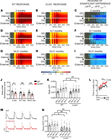 Figure 1. Activation of the DG after PP stimulation is significantly decreased in CLN3followed by Tukey’s multiple-comparisons test)