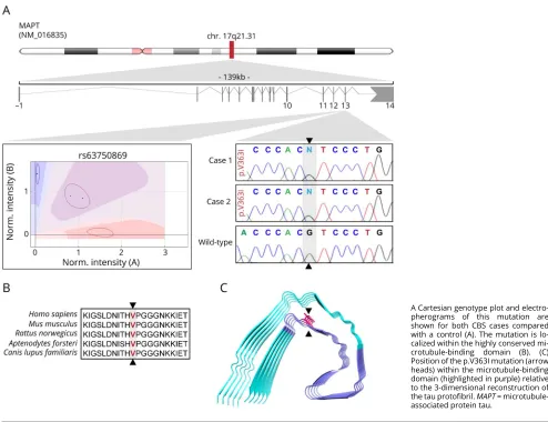 Figure 1 This schematic representation illustrates the location of the MAPT p.V363I mutation