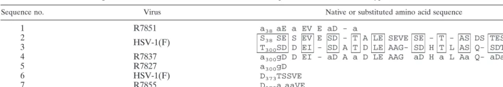 TABLE 1. Alignment of native and substituted amino acid sequences of ICP22 in wild-type and recombinant virusesa