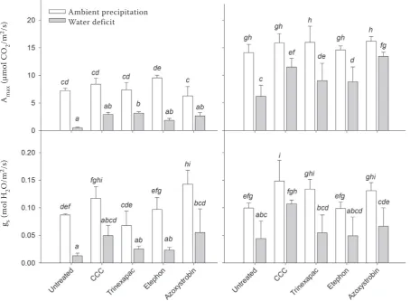 Figure 2. Effects of water deficit in period between booting and late milk ripeness and application of growth regulators on gas exchange parameters light saturated CO2 assimilation rate (Amax) and stomatal conductance (gs) measured at the end of water defi