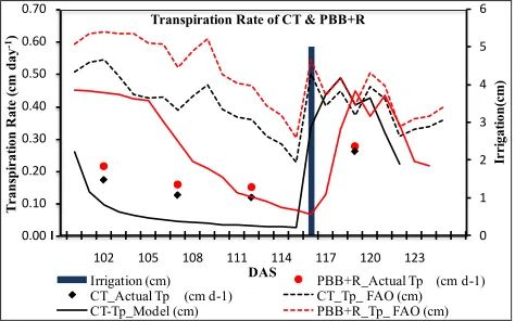 Fig. 2: Actual Vs. simulated transpiration for PBB+R and CT during simulation period