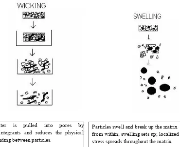 Figure-1: Mechanism of Disintegration by Wiciking and Swelling12 