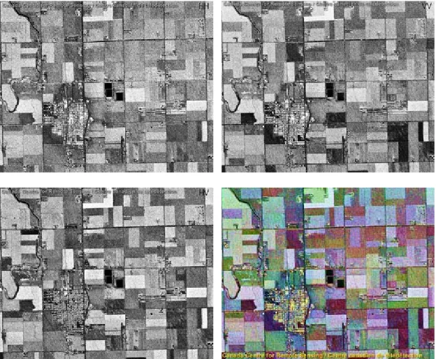 Illustration of how different polarizations (HH, VV, HV &amp; colour composite) bring out different  features in an agricultural scene  