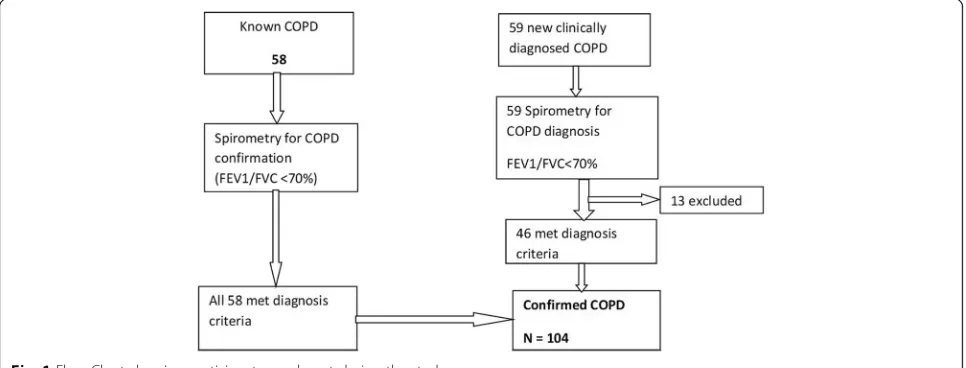 Fig. 1 Flow Chart showing participants enrolment during the study