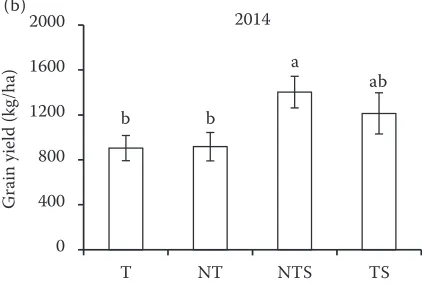 Figure 2. Grain yield in spring wheat–field pea rotation in (a) 2013; (b) 2014 and (c) 2015