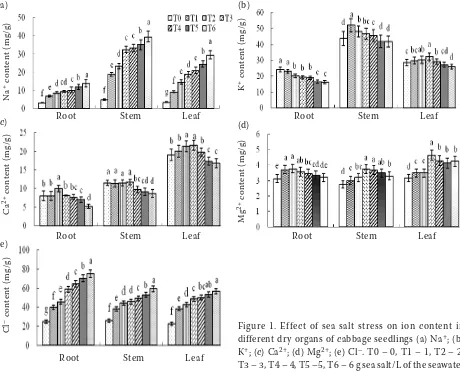 Figure 1. Effect of sea salt stress on ion content in different dry organs of cabbage seedlings (a) NaK+; (b) +; (c) Ca2+; (d) Mg2+; (e) Cl–
