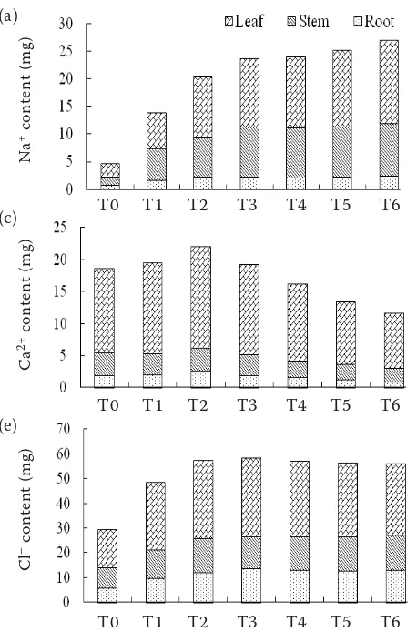 Figure 2. Effects of sea salt stress on ions accumulation per plant in different organs of cabbage seedlings (a) Na(b) K+; +; (c) Ca2+; (d) Mg2+; (e) Cl–