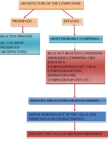 FIGURE 2: ALGORITHM OF APPROACH TO A CASE OF LYMPHOMA 