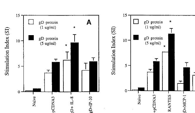FIG. 2. IgG1 versus IgG2a subclass levels in mice coimmunized with chemokine cDNAs. Each group of mice (nrespectively