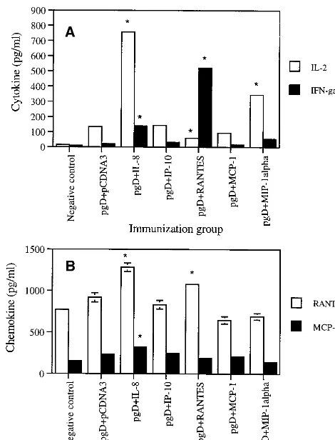 FIG. 4. Cytokine (A) and chemokine (B) production levels of splenocytesafter in vitro gD stimulation in mice coimmunized with chemokine cDNAs