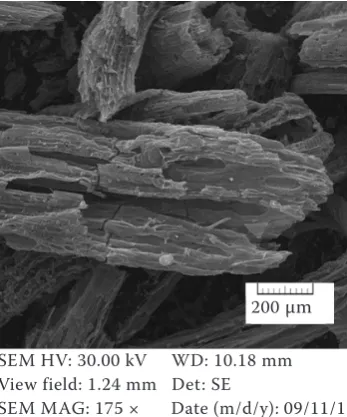 Figure 1. Scanning electron microscope (SEM) pictures of biochar used in the field experiment