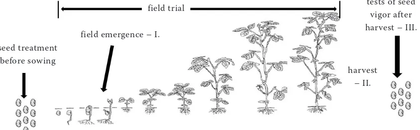 Table 1. Scheme of pre-sowing seed treatment