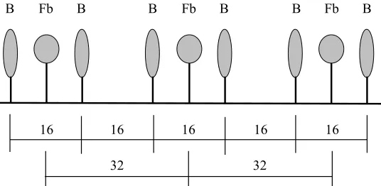 Figure 1. Crop distribution and row spacing (cm) in intercropping. B – barley; Fb – field bean