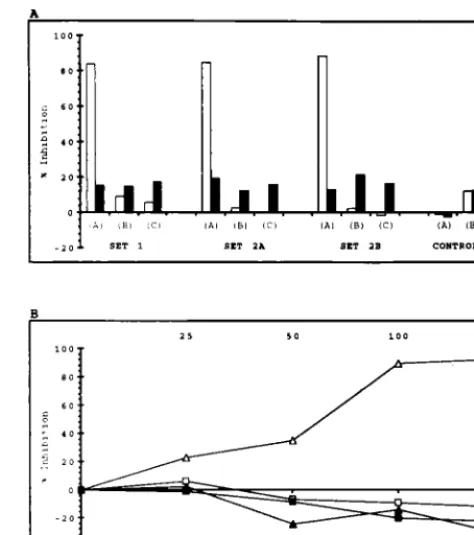 FIG. 2. Morpholino antisense inhibition of the HCV IRES. (A) Equal con-centrations (200 nM) of various antisense oligonucleotides (see Fig