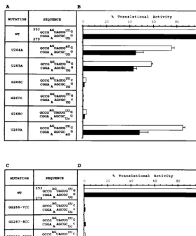 FIG. 4. Mapping of IIId nucleotides essential for IRES translation. (A and C) Speciﬁc IIId apical loop mutations and secondary structures
