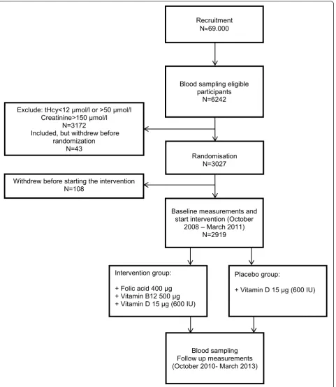 Figure 1 Recruitment and baseline measurements in participants of the B-PROOF study