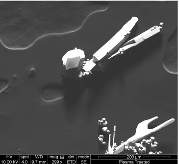 Figure 10: Pyromorphite heated to 700C with 5 hour isotherm followed by 50-hour cooling step 