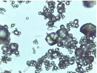 Figure 12: Hexagonal crystals from bottom layer of crucible  