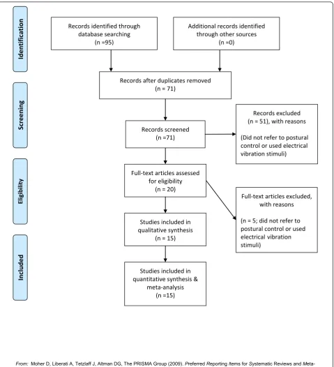 Figure 1 Results of the systematic review. Studies’ flow chart for the review and meta-analysis.