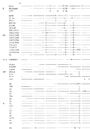 FIG. 4. Sequences of amino acids 53 to 215 of the G protein of BRSV isolates. Designations to the left of the sequences indicate the isolate code (Table 1)
