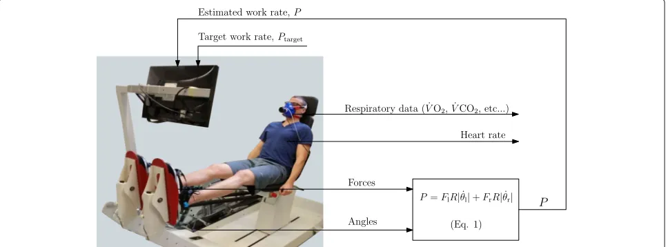 Fig. 1 Exercise testing protocol