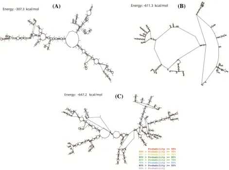 Table 2. Minimal free energies of native mRNA with predicted energies for mRNA synthesized in this study Native mRNA  